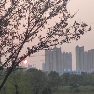 我想（feat.郁秋）