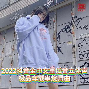 DJ国飞-2022抖音全中文重低音立体声极品车载串烧舞曲（DJ国飞 remix）