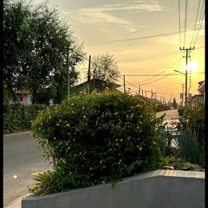 最美的牵绊（DJ）