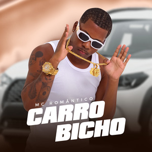 Carro Bicho