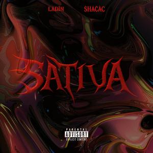 Sativa