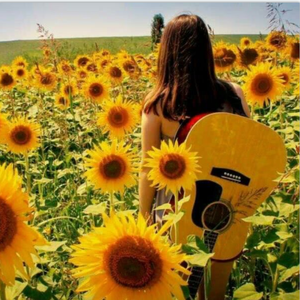 晴天-吉他回忆弹唱（翻自 晴天）