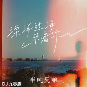 漂洋过海来看你 (DJ九零版)