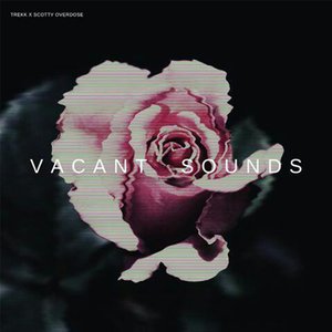 Vacant Sounds