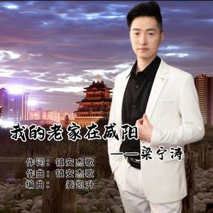 我的老家在咸阳