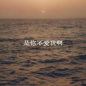 是你不爱我啊