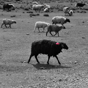 逝去的人在梦里跳舞