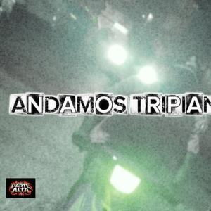 andamos tripiando (feat. DPG) (LosdelapartealtaEdit)
