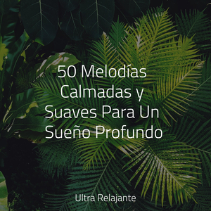 Jugar Con La Música