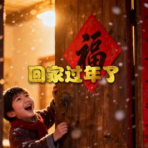 回家过年了