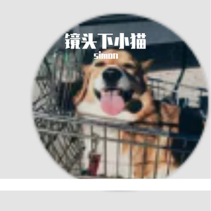 《琴语弦音间的青春幻梦》