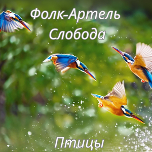 Шарф