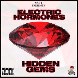 Hidden Gems Lost (feat. Electric Hormones)