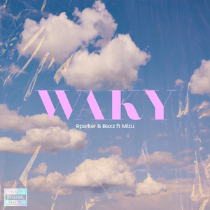 Waky (feat. Mizu)