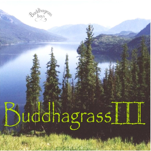 Can't Stop the Night