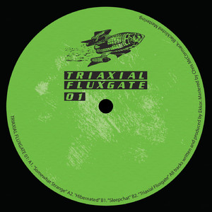 Triaxial Fluxgate (Original Mix)