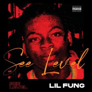 See Level
