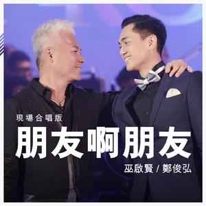 朋友啊朋友 (Live)