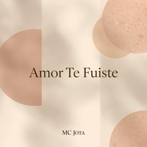 Amor te fuiste