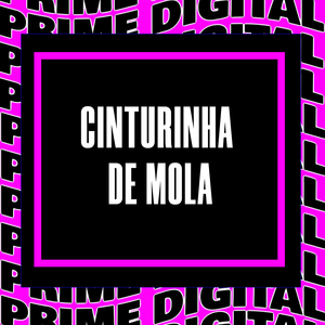 CINTURINHA DE MOLA