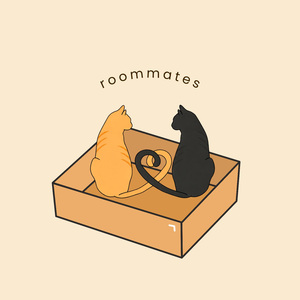 roommates
