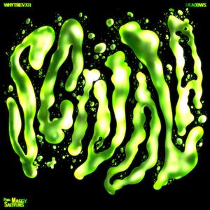 SCIVOLA !! (feat. headows)