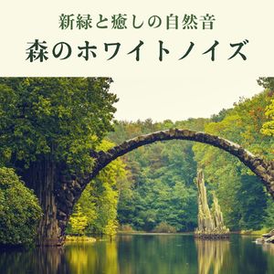 やわらかな気持ち