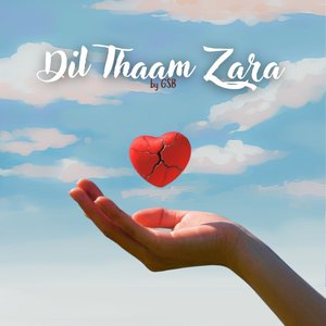 Dil Thaam Zara