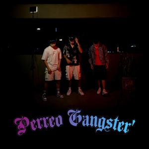 Perreo Gangster (feat. BRRIEL & Denias)