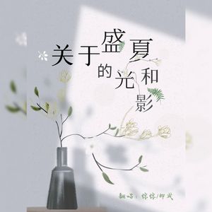 关于盛夏的光和影
