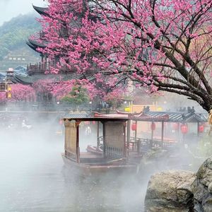 云舟泛星河