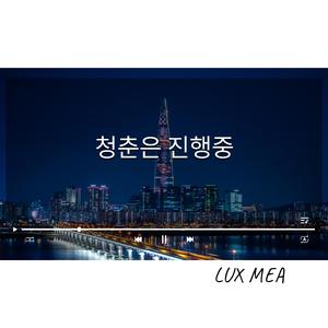 서울의 불빛
