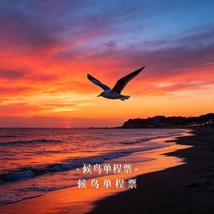 候鸟单程票·无损