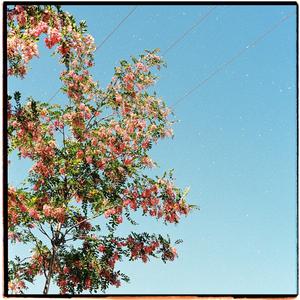 Lightness