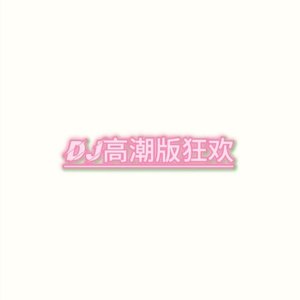 DJ高超版狂欢