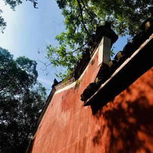 山海已不是归途