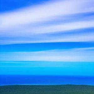 穿花裤子的蜡笔小小新