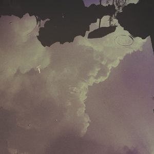 蝴蝶曾一时徘徊（Butterflies once strolled over my head）