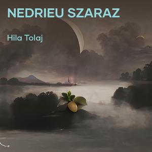 Nedrieu Szaraz