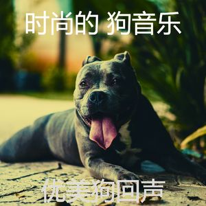 抚慰的幼犬回忆