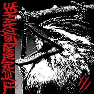 Tijeral (Leptasthenura aegithaloides)