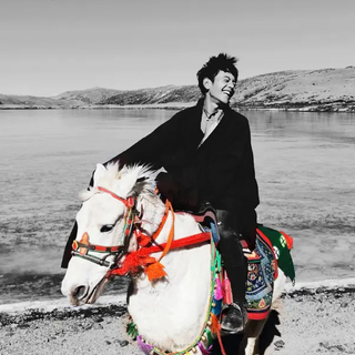 丁真珍珠 | 月光落在然日卡