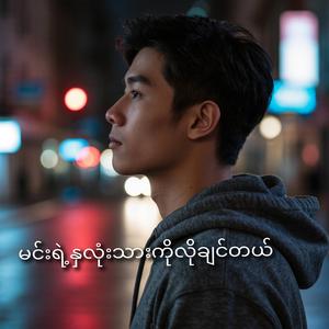 မင်းရဲ့နှလုံးသားကိုလိုချင်တယ်