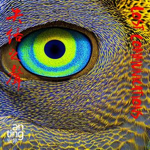 Red-whiskered Bulbul 红耳鹎 (Sichuan)