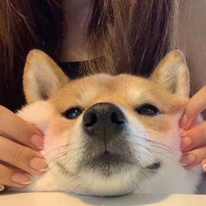 我们的故事