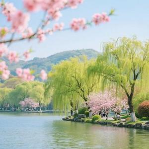 春风渡