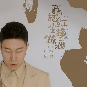 我把红尘换做酒 (DJ九零版伴奏)