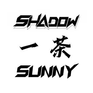 不如 (Shadow & Sunny & 一茶 Bootleg mix)