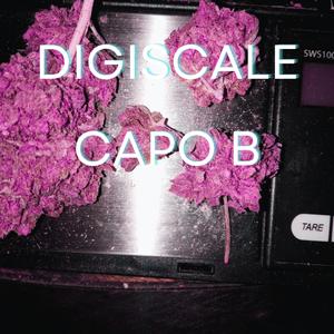 Digiscale