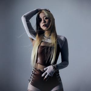 Veteran (feat. Paloalto, JUSTHIS, Leellamarz, Verbal Jint)